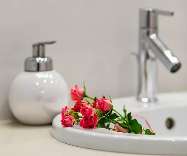 Black&white - Silver House Free Parking 公寓 格丁尼亚