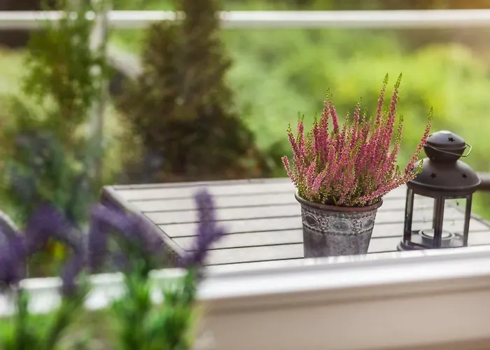 Black&white - Silver House Free Parking